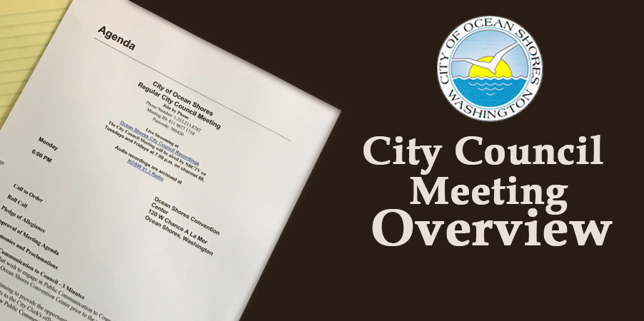 council-overview-Agenda-902x450